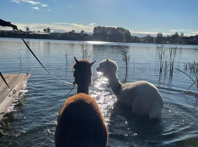 Apartment Kaszuby Seliraj Gospagro Alpaki,dwa Pokoje-niezaleznie Wejscie *