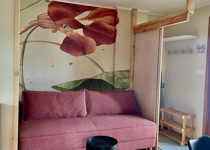 Kaszuby Seliraj Gospagro Alpaki,dwa Pokoje-niezaleznie Wejscie