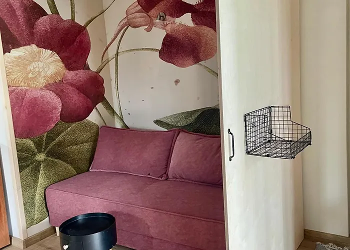 Kaszuby Seliraj Gospagro Alpaki,dwa Pokoje-niezaleznie Wejscie *